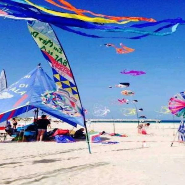 International Festival Kites