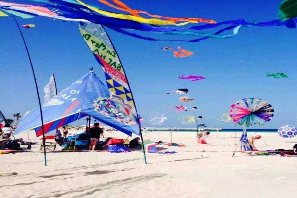 International Festival Kites